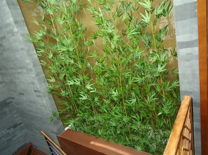 【北京仿真竹子批发价格18210044426】价格